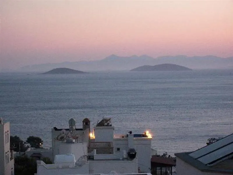 Family Belvedere Hotel Αλικαρνασσός 3*,  Τουρκία