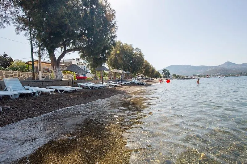 Family Belvedere Hotel Αλικαρνασσός 3*,
